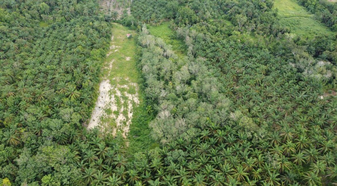 tanah-pertanian-untuk-dijual-di-senggang-kuala-kangsar-06