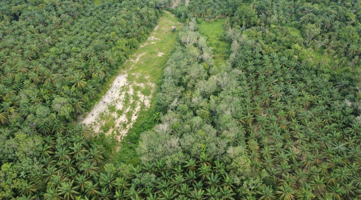 tanah-pertanian-untuk-dijual-di-senggang-kuala-kangsar-07