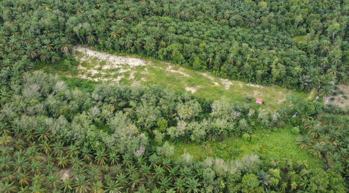 tanah-pertanian-untuk-dijual-di-senggang-kuala-kangsar-08