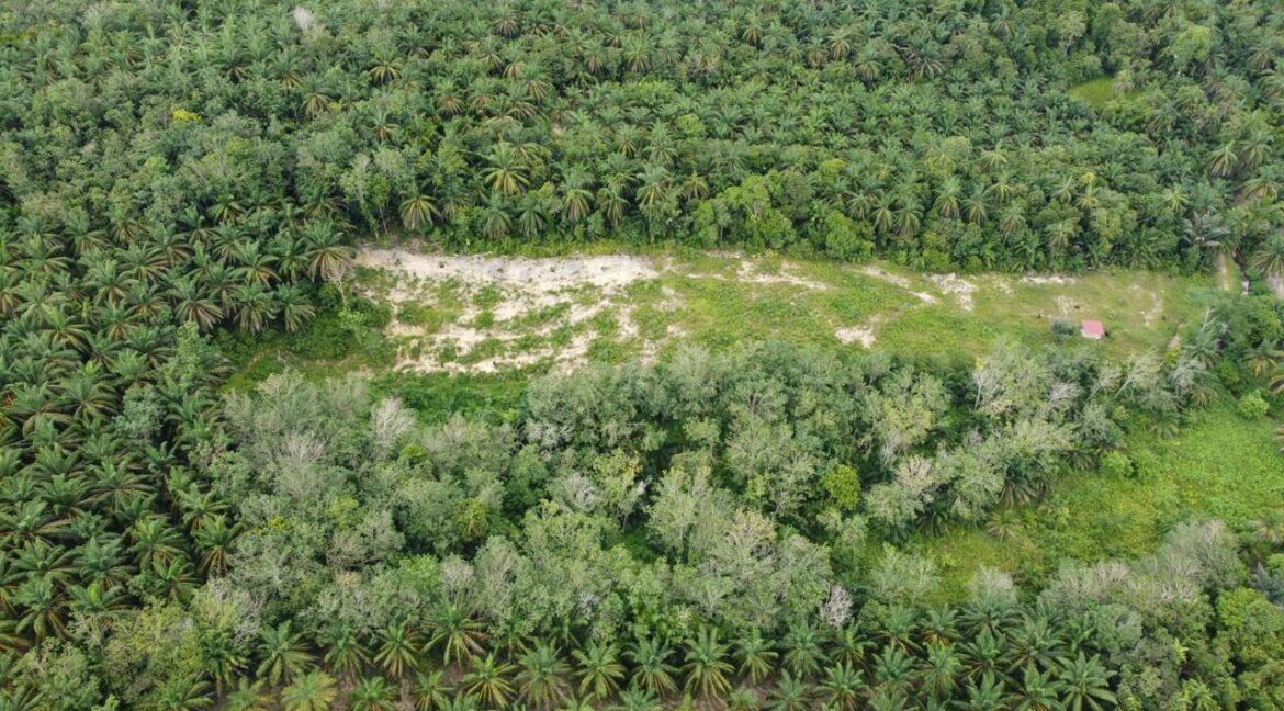 tanah-pertanian-untuk-dijual-di-senggang-kuala-kangsar-09