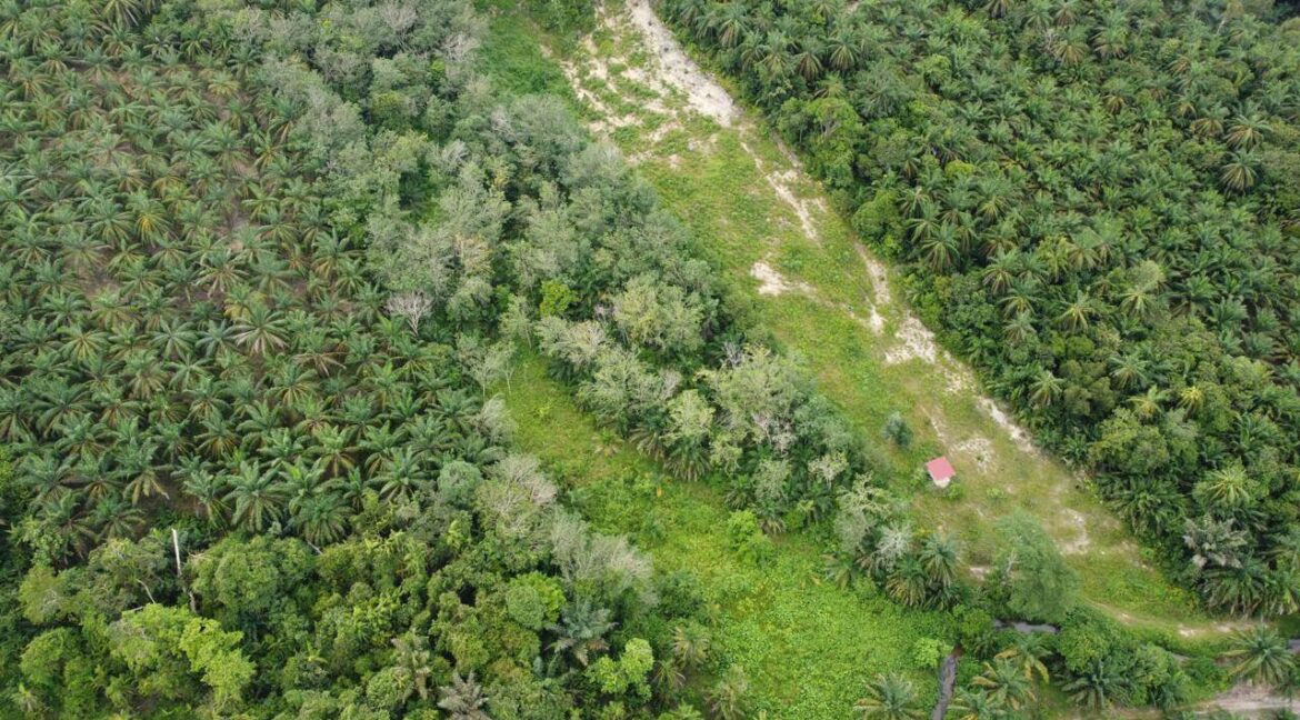 tanah-pertanian-untuk-dijual-di-senggang-kuala-kangsar-10