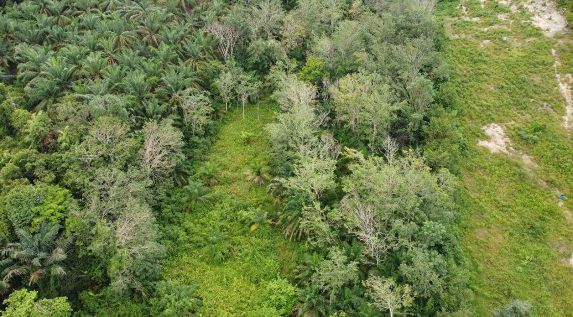 Tanah Pertanian untuk dijual di Senggang, Kuala Kangsar
