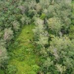Tanah Pertanian untuk dijual di Senggang, Kuala Kangsar