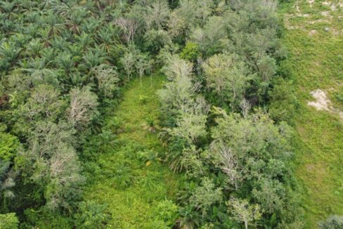 Tanah Pertanian untuk dijual di Senggang, Kuala Kangsar