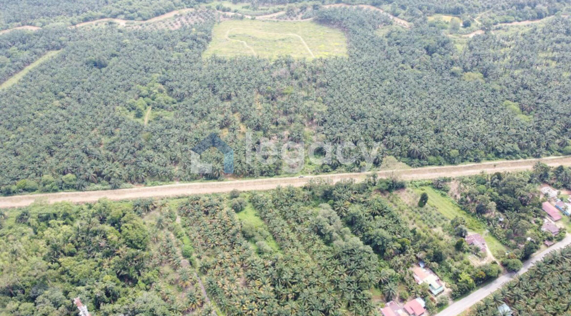 tanah-sawit-ada-jalan-air-untuk-dijual-di-selama-05