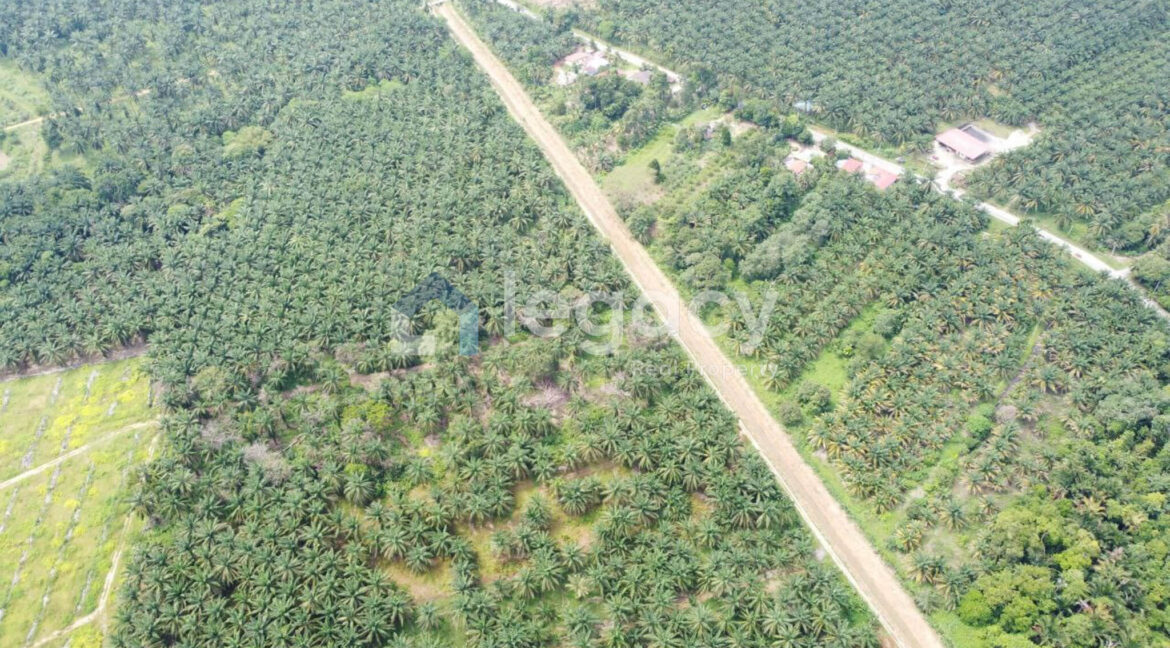 tanah-sawit-ada-jalan-air-untuk-dijual-di-selama-06