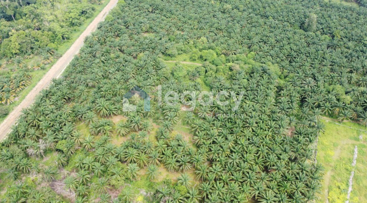 tanah-sawit-ada-jalan-air-untuk-dijual-di-selama-10