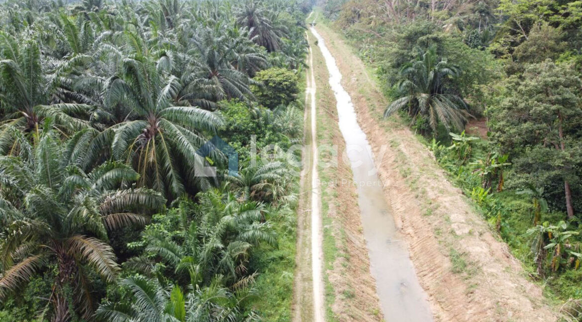 tanah-sawit-ada-jalan-air-untuk-dijual-di-selama-14