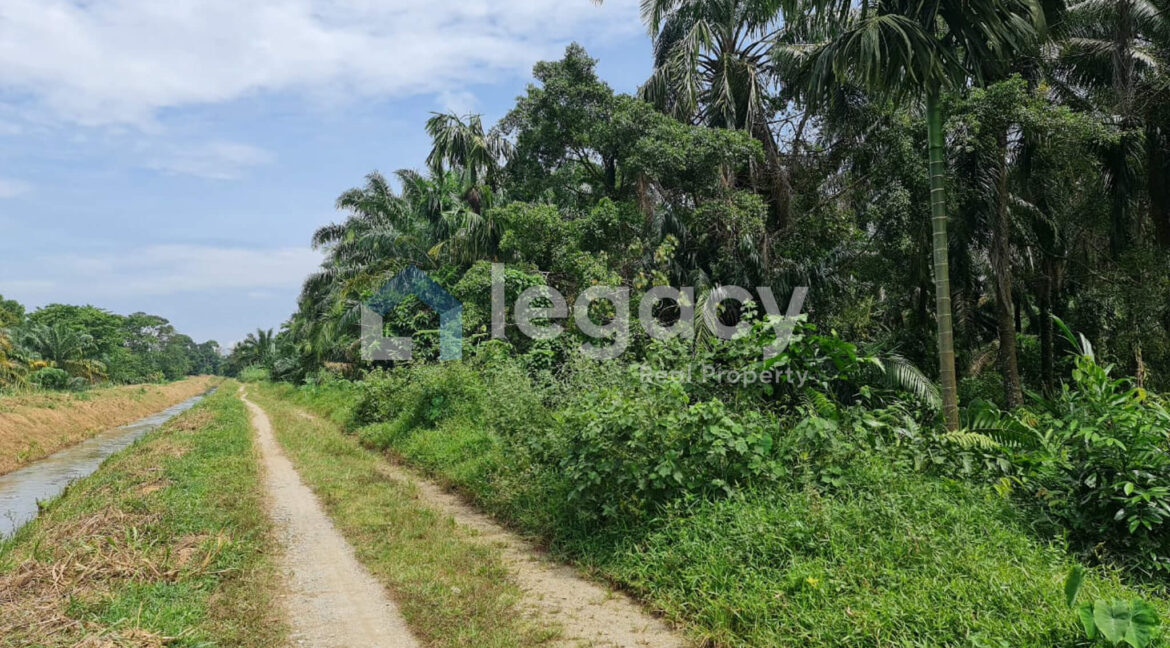 tanah-sawit-ada-jalan-air-untuk-dijual-di-selama-19