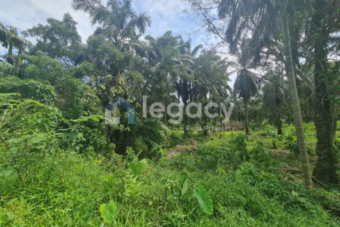 Tanah Sawit Ada Jalan & Air untuk dijual di Selama