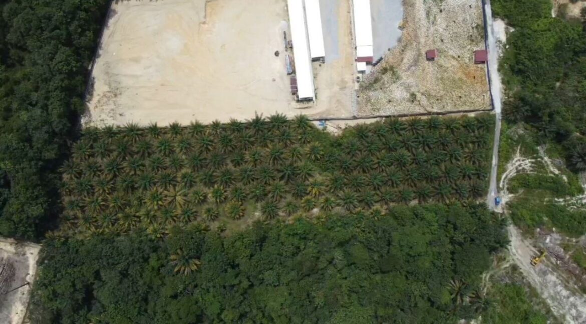 tanah-sawit-untuk-dijual-di-bidor-03