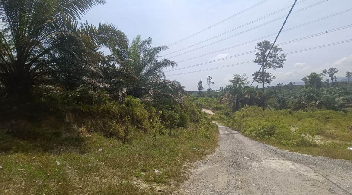 tanah-sawit-untuk-dijual-di-bidor-08