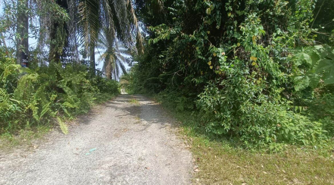 tanah-sawit-untuk-dijual-di-bidor-10