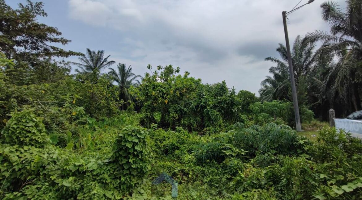 potensi-pembangunan-tanah-pertanian-untuk-dijual-di-taiping-08