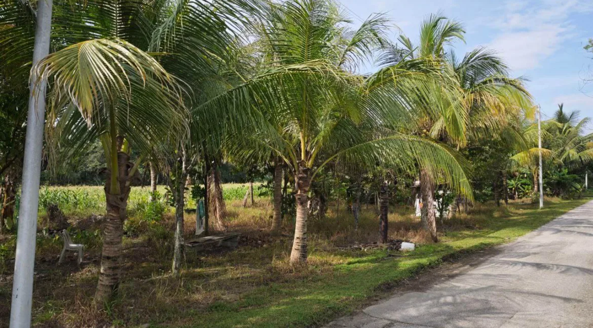 tanah-lot-kediaman-untuk-dijual-di-kampung-tersusun-kelebang-selatan-05