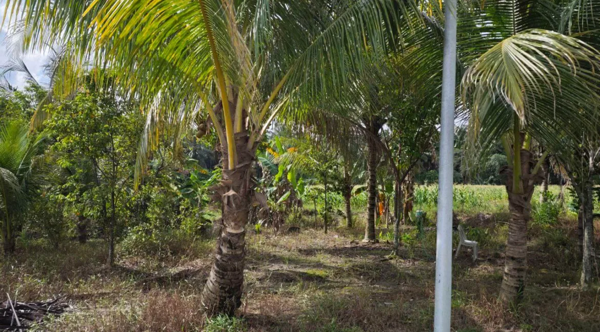 tanah-lot-kediaman-untuk-dijual-di-kampung-tersusun-kelebang-selatan-06