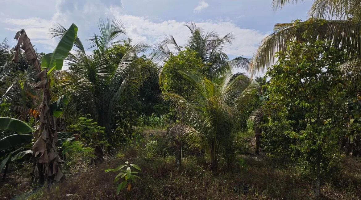 tanah-lot-kediaman-untuk-dijual-di-kampung-tersusun-kelebang-selatan-08