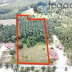 Tanah Tepi Jalan untuk dijual Kampung Sungei Limau, Seri Manjung