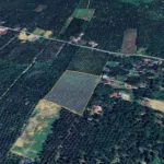 Tanah Sawit Hasil Stabil untuk dijual di Sungai Dendeng, Selama