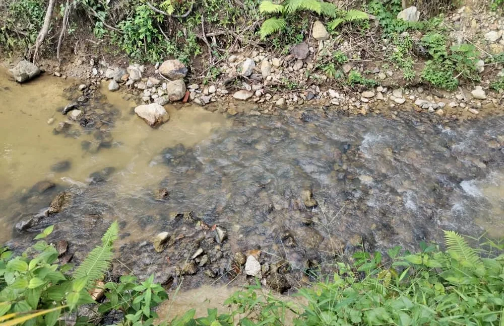 tanah-ada-durian-dan-sungai-untuk-dijual-di-kati-kuala-kangsar-09