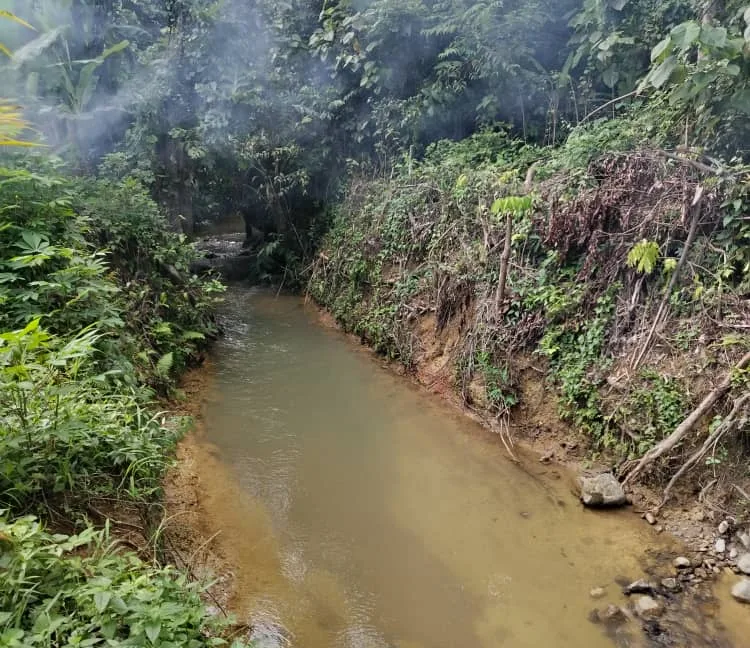 tanah-ada-durian-dan-sungai-untuk-dijual-di-kati-kuala-kangsar-10
