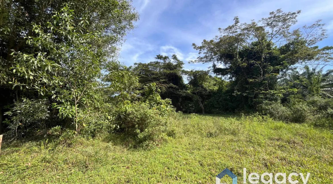 tanah-kediaman-untuk-dijual-di-batu-gajah-07