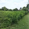 Tanah Lot Bangunan untuk dijual di Kampung Kepayang, Ipoh