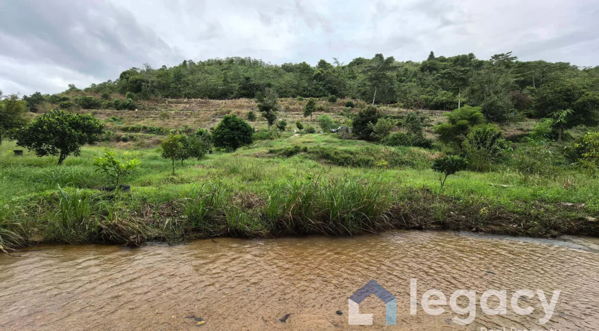 Dusun Buah Tepi Sungai untuk dijual di Chemor