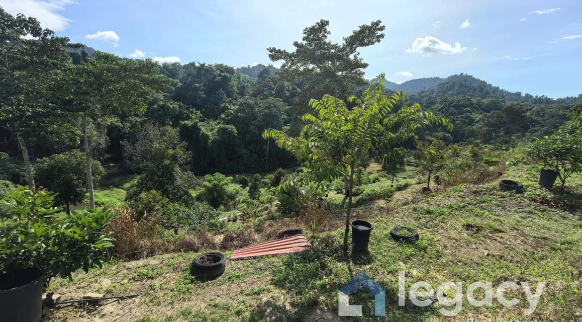 dusun-buah-tepi-sungai-untuk-dijual-di-chemor-05