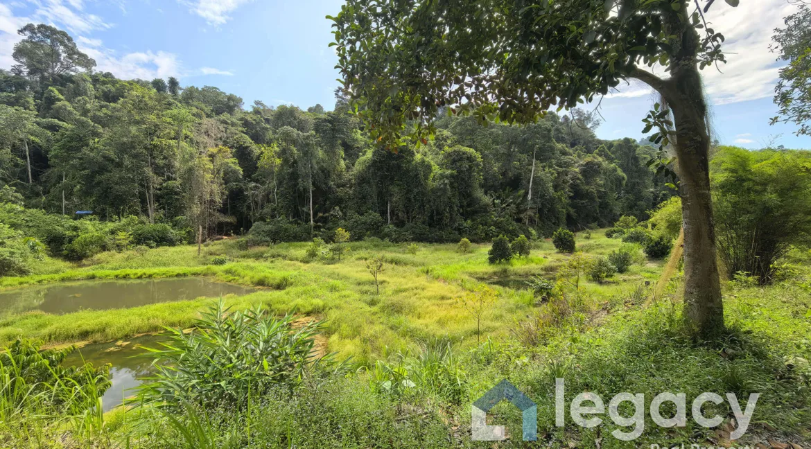 dusun-buah-tepi-sungai-untuk-dijual-di-chemor-06