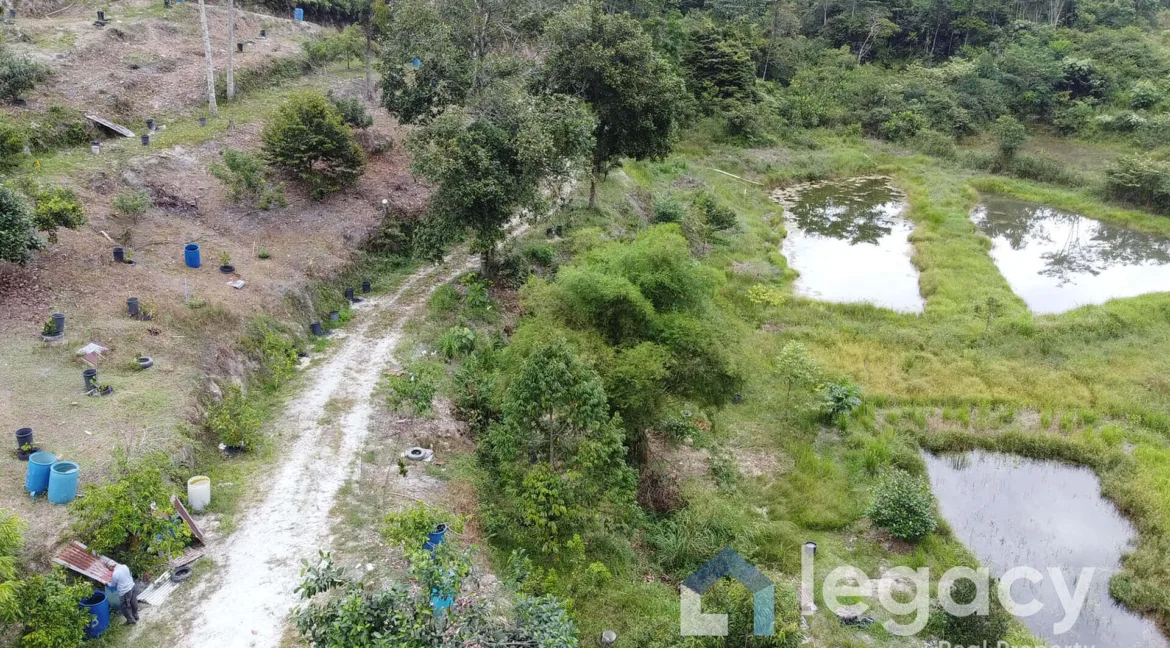 dusun-buah-tepi-sungai-untuk-dijual-di-chemor-09
