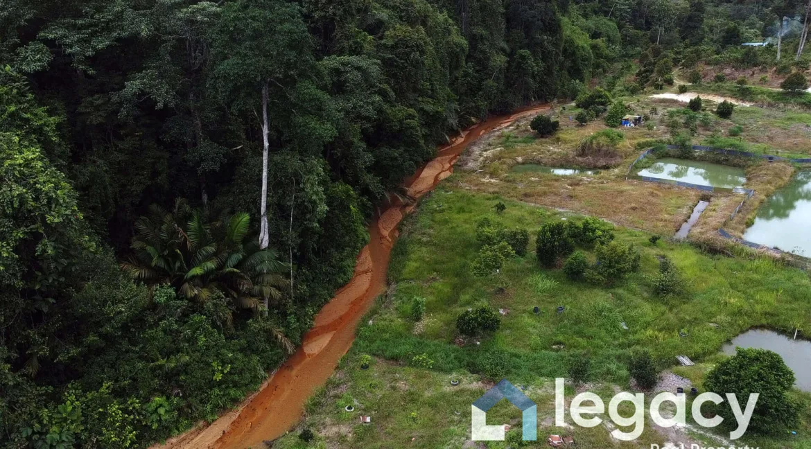dusun-buah-tepi-sungai-untuk-dijual-di-chemor-11