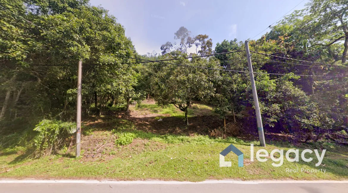 Tanah Kebun Untuk Dijual Di Slim River, Muallim