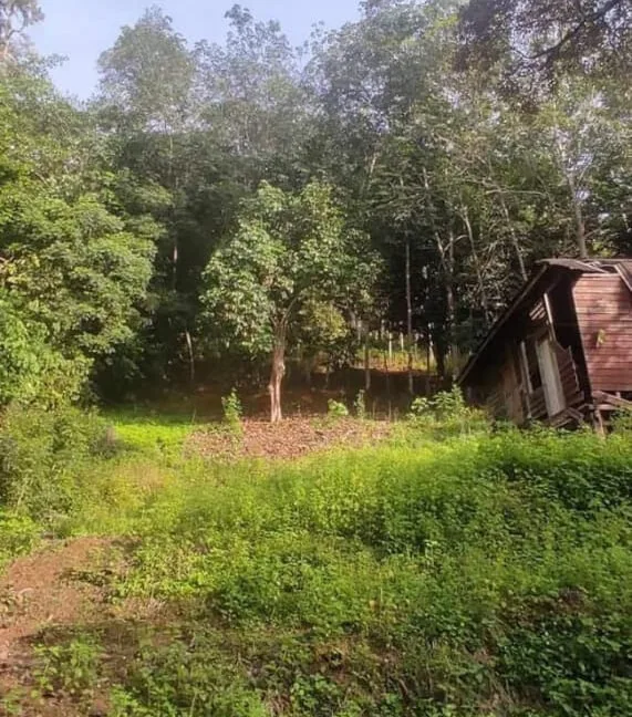 tanah-kebun-untuk-dijual-di-slim-river-muallim-03