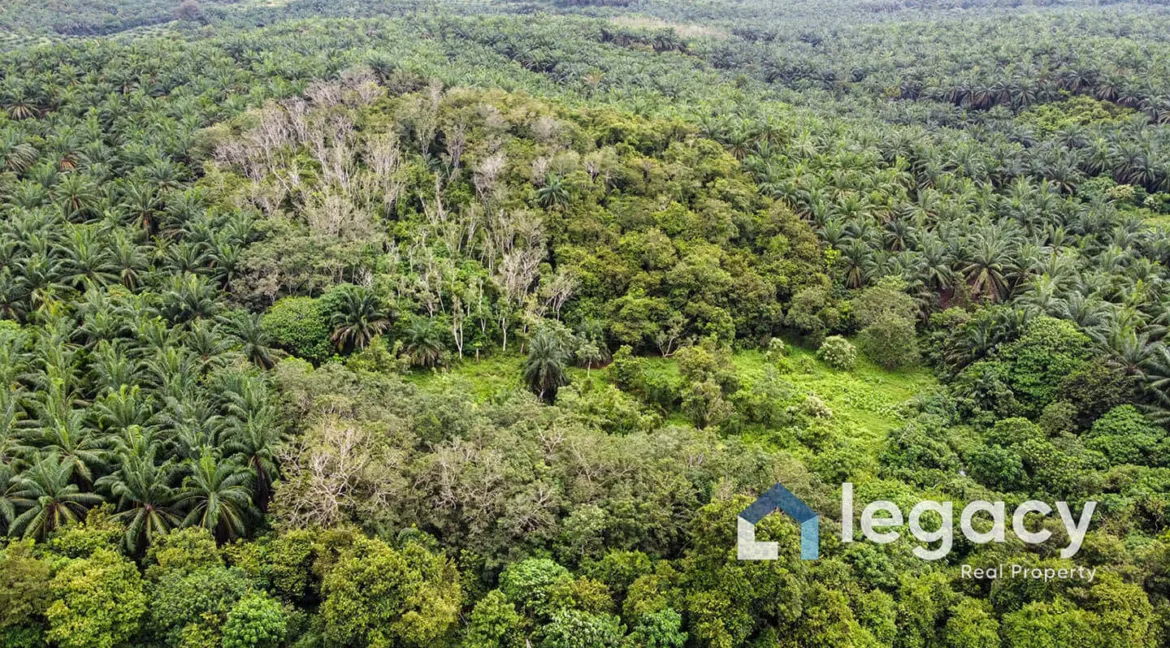 tanah-pertanian-untuk-dijual-di-selat-pagar-lenggong-06