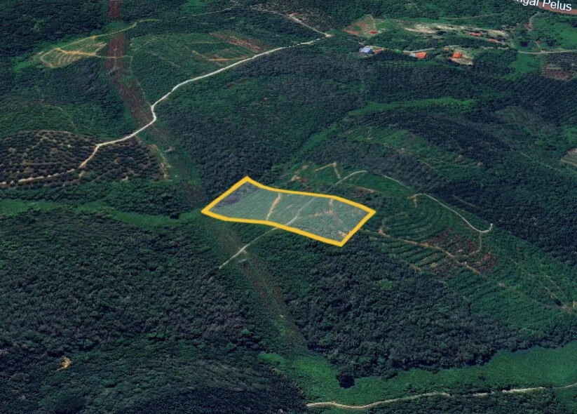 Tanah Pertanian Untuk Dijual Di Suak Pelong, Kuala Kangsar