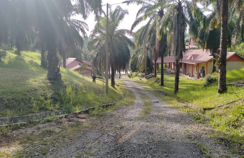 dataran-lembah-lenggong-untuk-dijual-di-padang-grus-hulu-perak-31