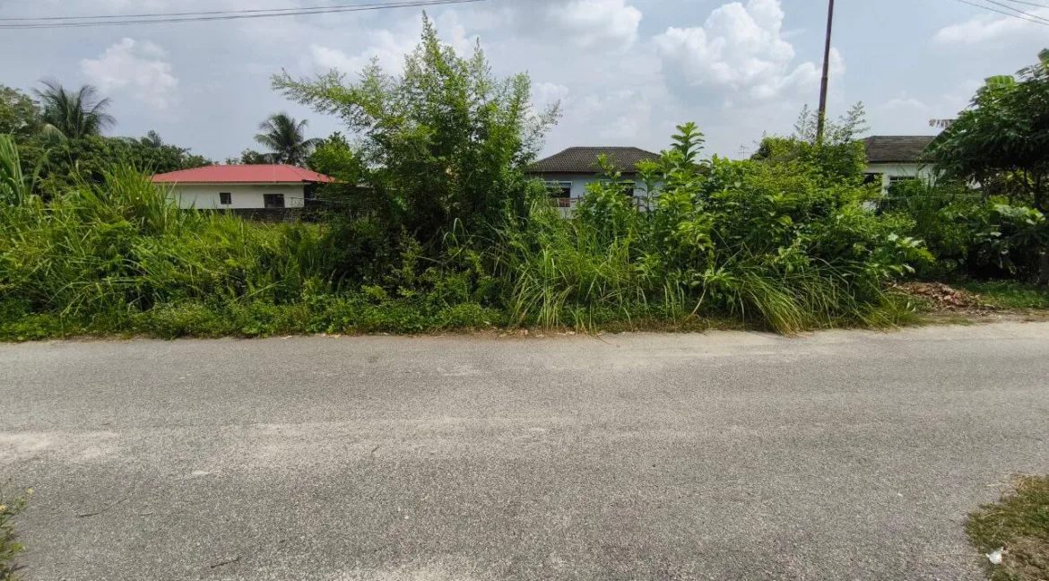 tanah-lot-untuk-dijual-di-kampung-merbau-seri-iskandar-03