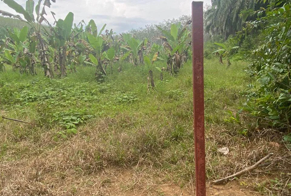 tanah-pertanian-untuk-dijual-di-jalan-air-lembu-gerik-05