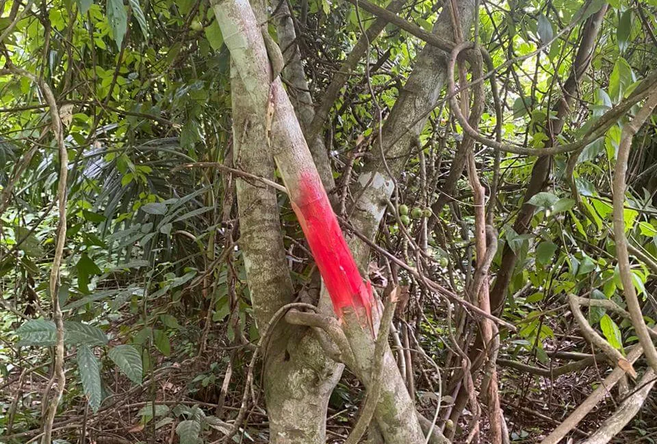 tanah-pertanian-untuk-dijual-di-jalan-air-lembu-gerik-06