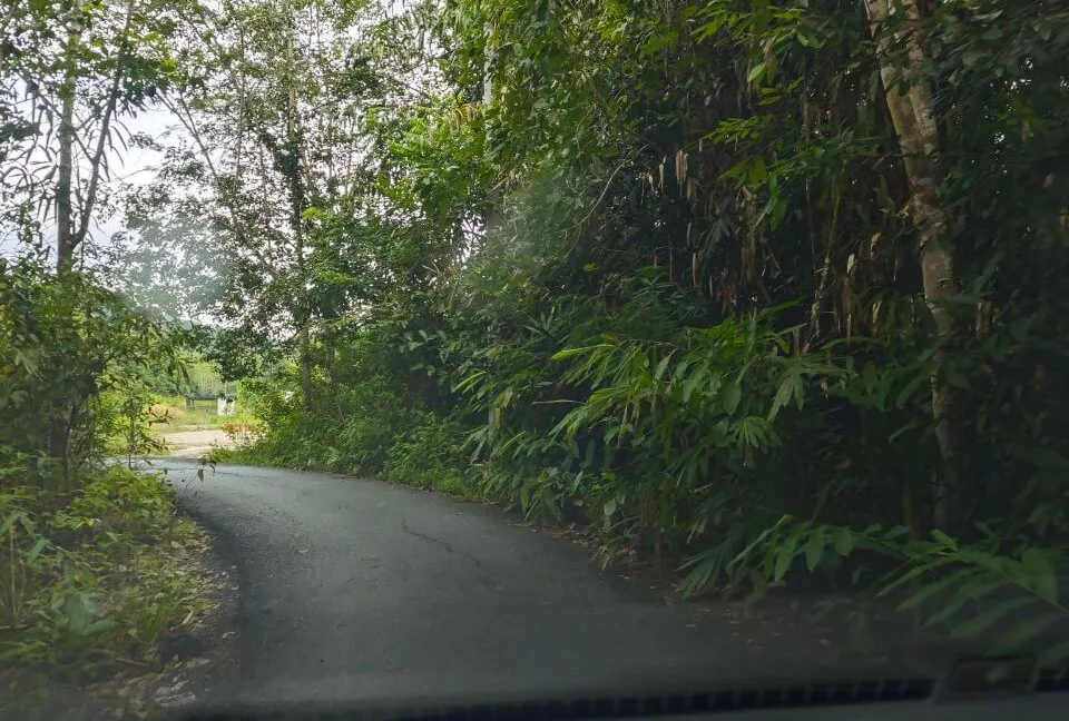 tanah-pertanian-untuk-dijual-di-jalan-air-lembu-gerik-11