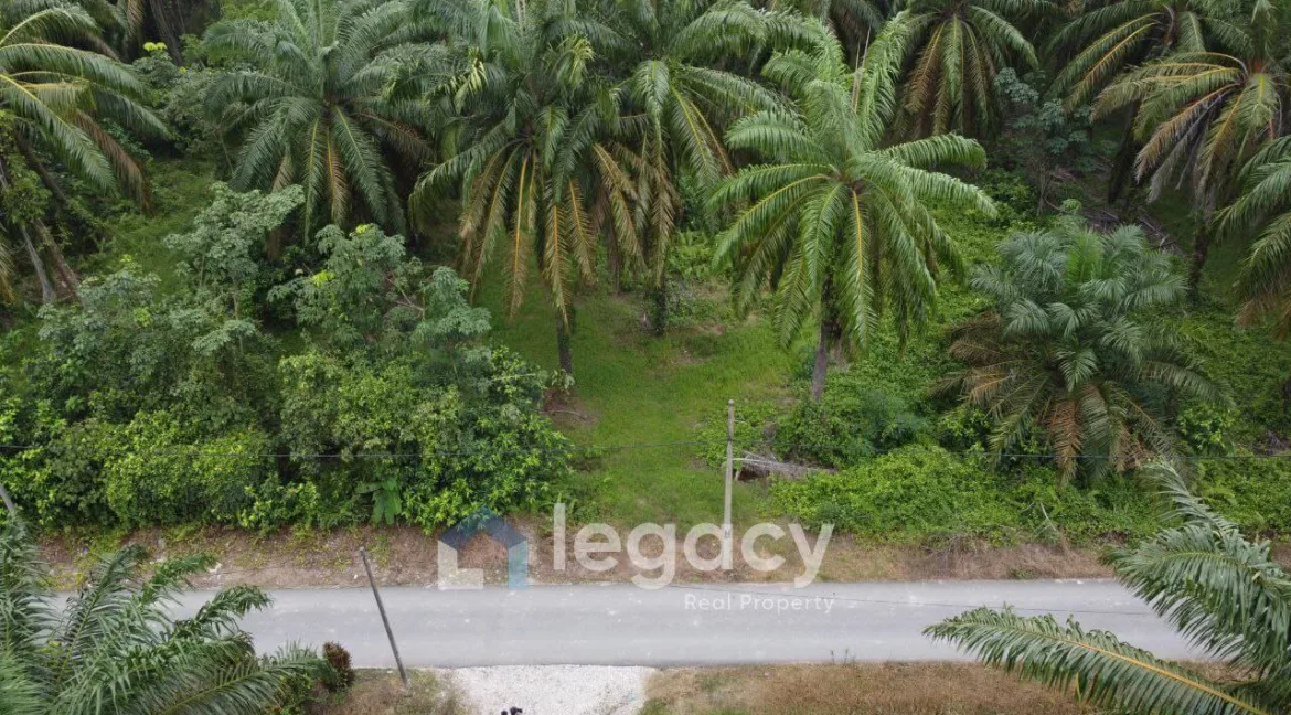 tanah-sawit-untuk-dijual-di-sei-keruin-sungai-kerawai-teluk-intan-01