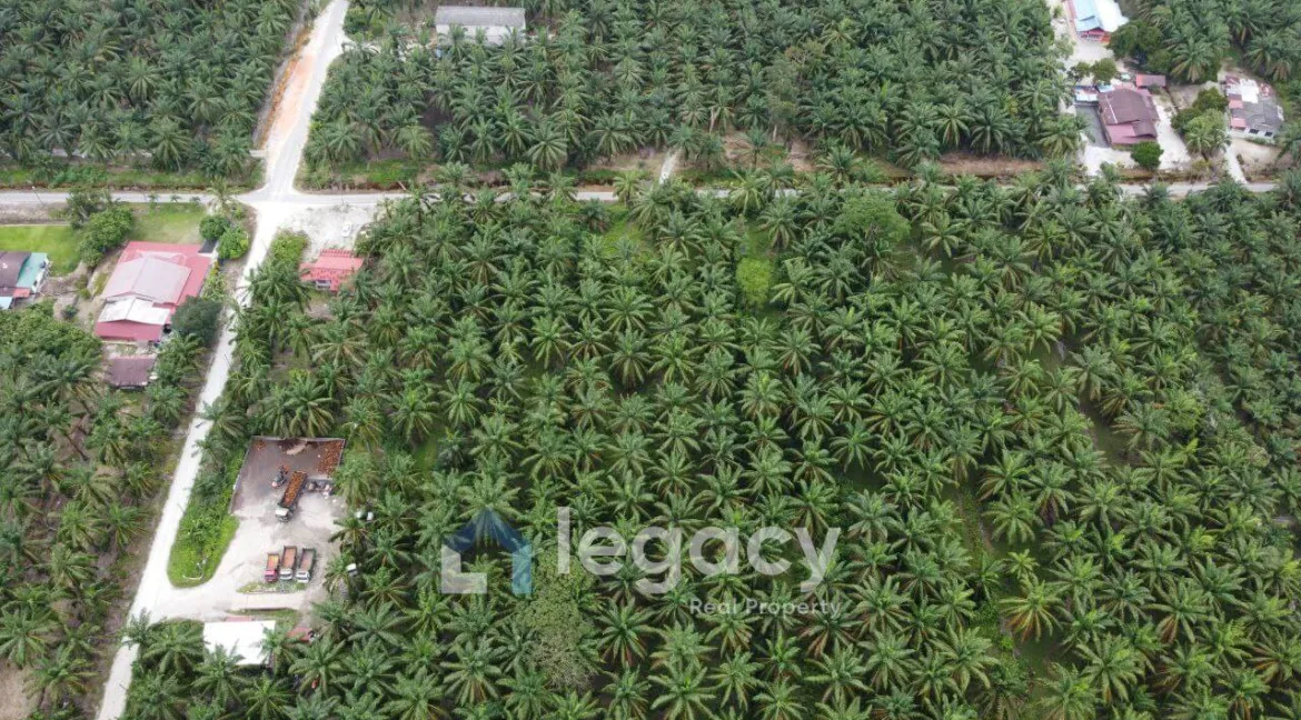 tanah-sawit-untuk-dijual-di-sei-keruin-sungai-kerawai-teluk-intan-03