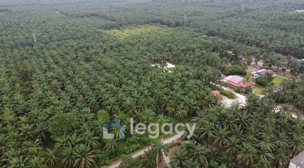 tanah-sawit-untuk-dijual-di-sei-keruin-sungai-kerawai-teluk-intan-06
