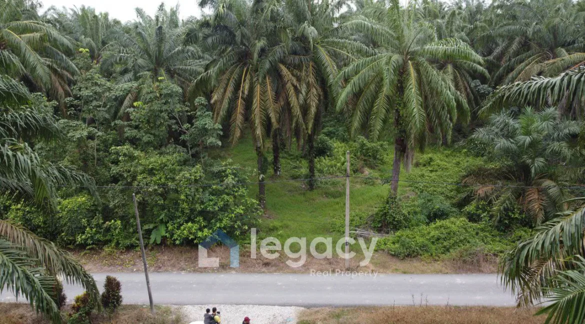 tanah-sawit-untuk-dijual-di-sei-keruin-sungai-kerawai-teluk-intan-07