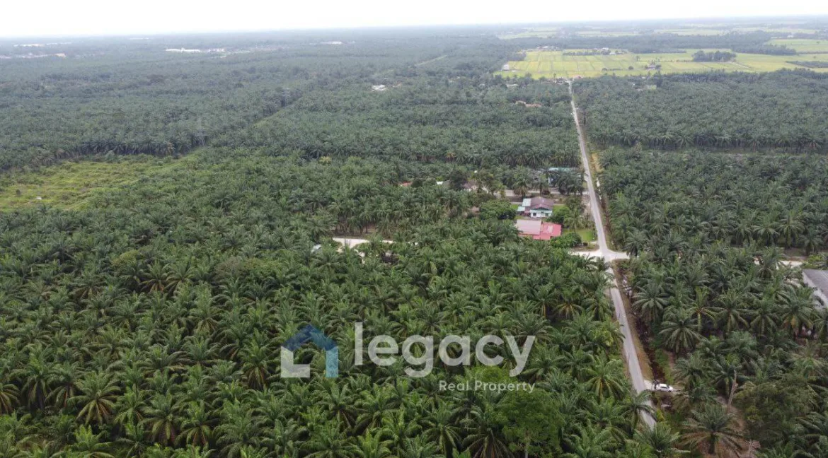 tanah-sawit-untuk-dijual-di-sei-keruin-sungai-kerawai-teluk-intan-08