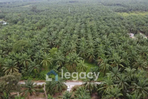 Tanah Sawit Untuk Dijual Di Sei Keruin, Sungai Kerawai, Teluk Intan
