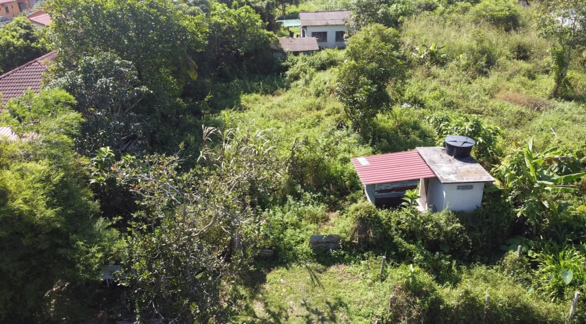 tanah-lot-untuk-dijual-rpt-batu-10-chepor-indah-chemor-02