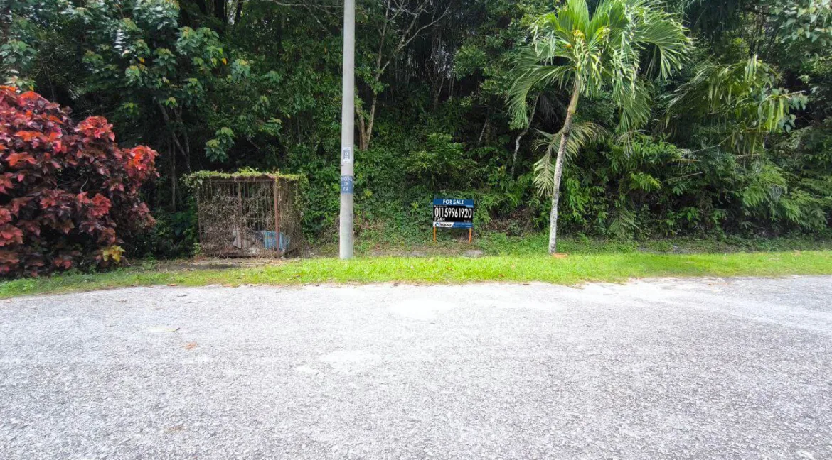 Tanah Pertanian Untuk Dijual Di Tanjung Rambutan, Kinta, Perak