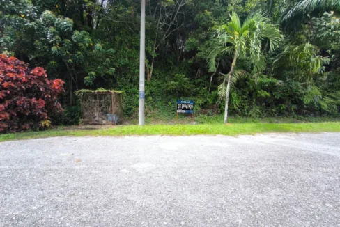 Tanah Pertanian Untuk Dijual Di Tanjung Rambutan, Kinta, Perak